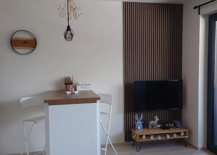 Apartamento U šumavské Lípy